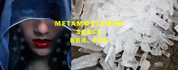шишки Няндома