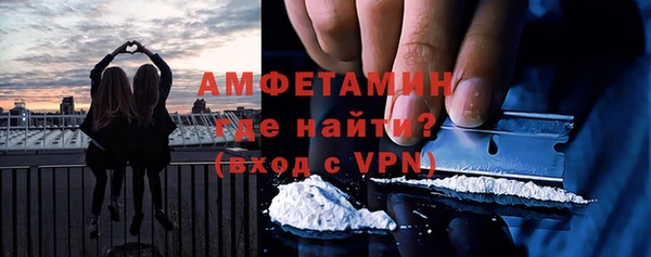 шишки Няндома