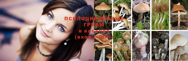 apvp Нягань