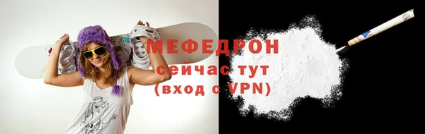 шишки Няндома