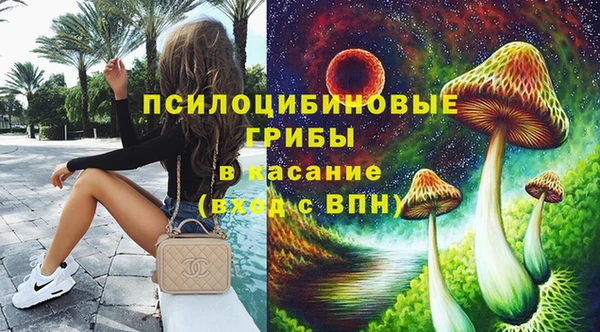 шишки Няндома