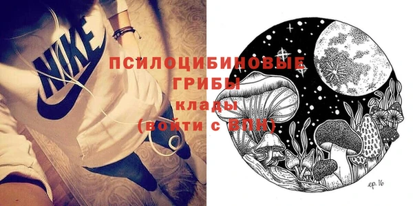 шишки Няндома