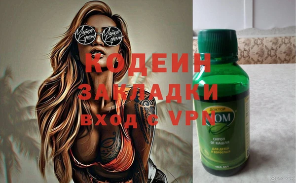 стаф Осинники