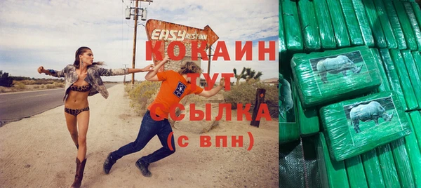 шишки Няндома