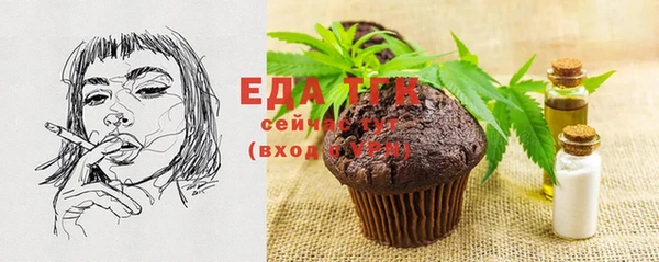 шишки Няндома