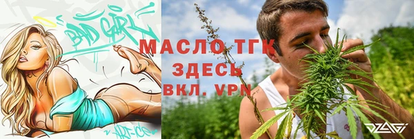 шишки Няндома