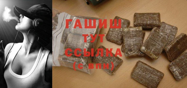 шишки Няндома