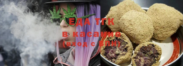 шишки Няндома