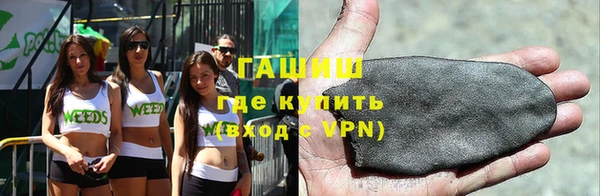 шишки Няндома
