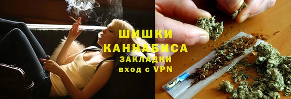 шишки Няндома
