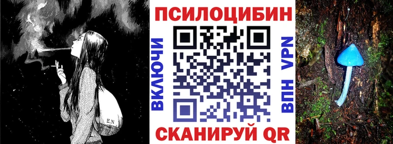 гидра ONION  купить наркотики цена  Лихославль  Галлюциногенные грибы Psilocybine cubensis 